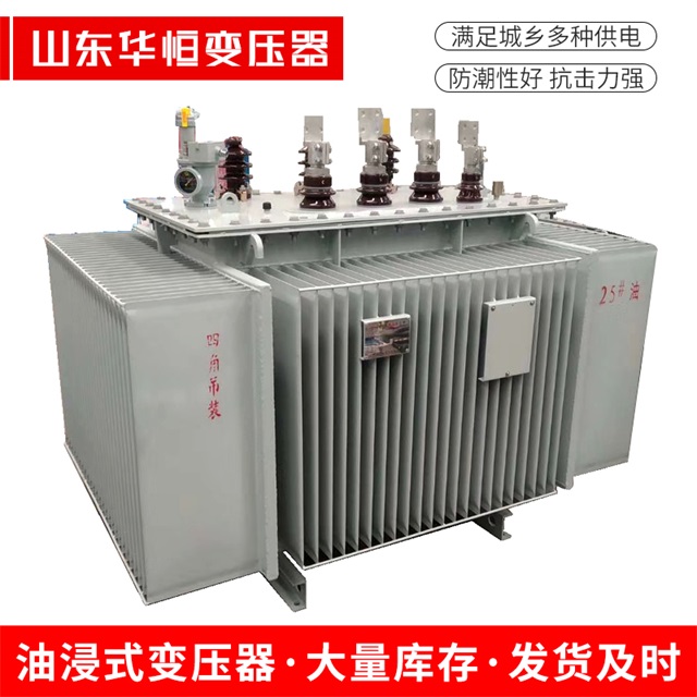 S13-10000/35随县随县随县电力变压器厂家